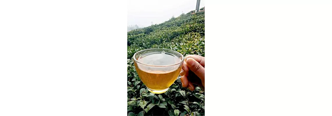 Darjeeling