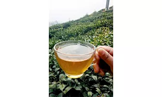 Darjeeling