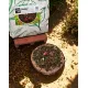 Yaşıl Oolong çayı 500 qr